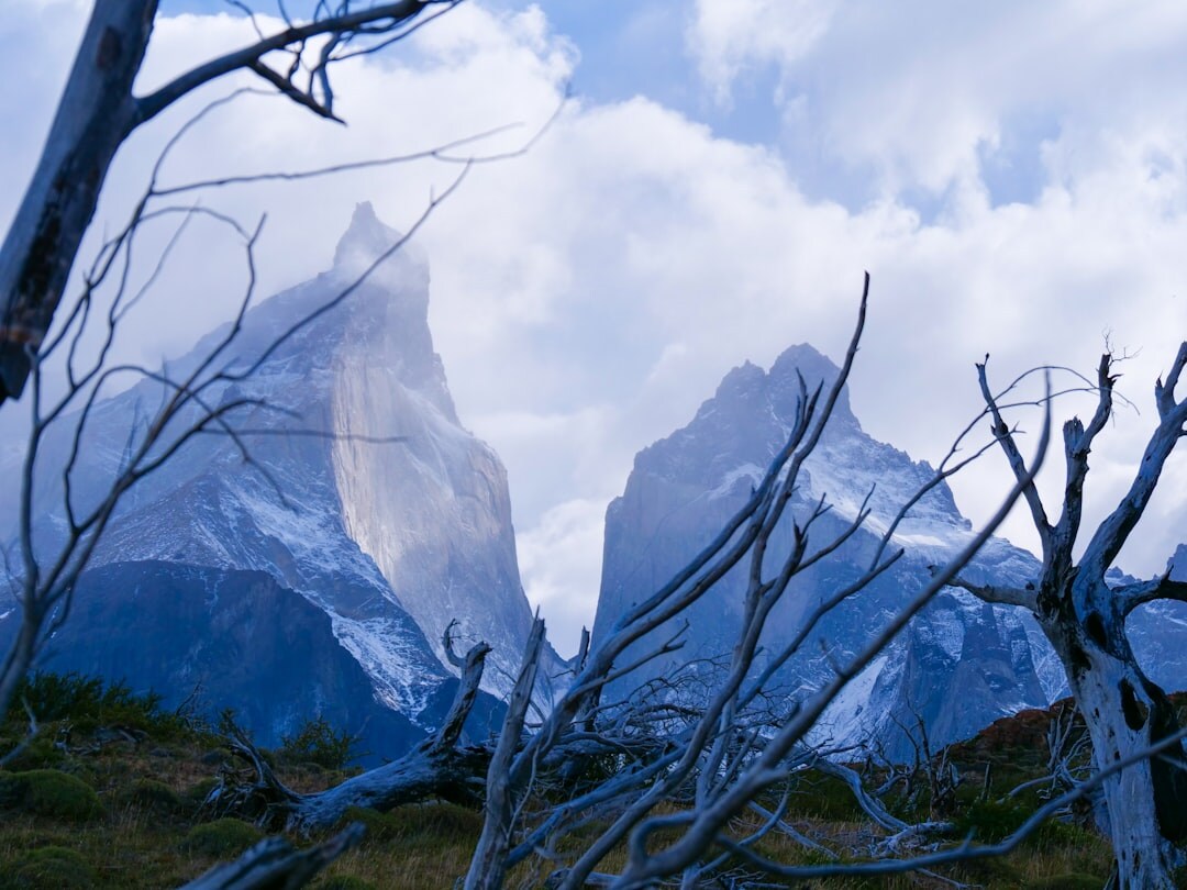 Steep forested fjords in Chilean Patagonia
