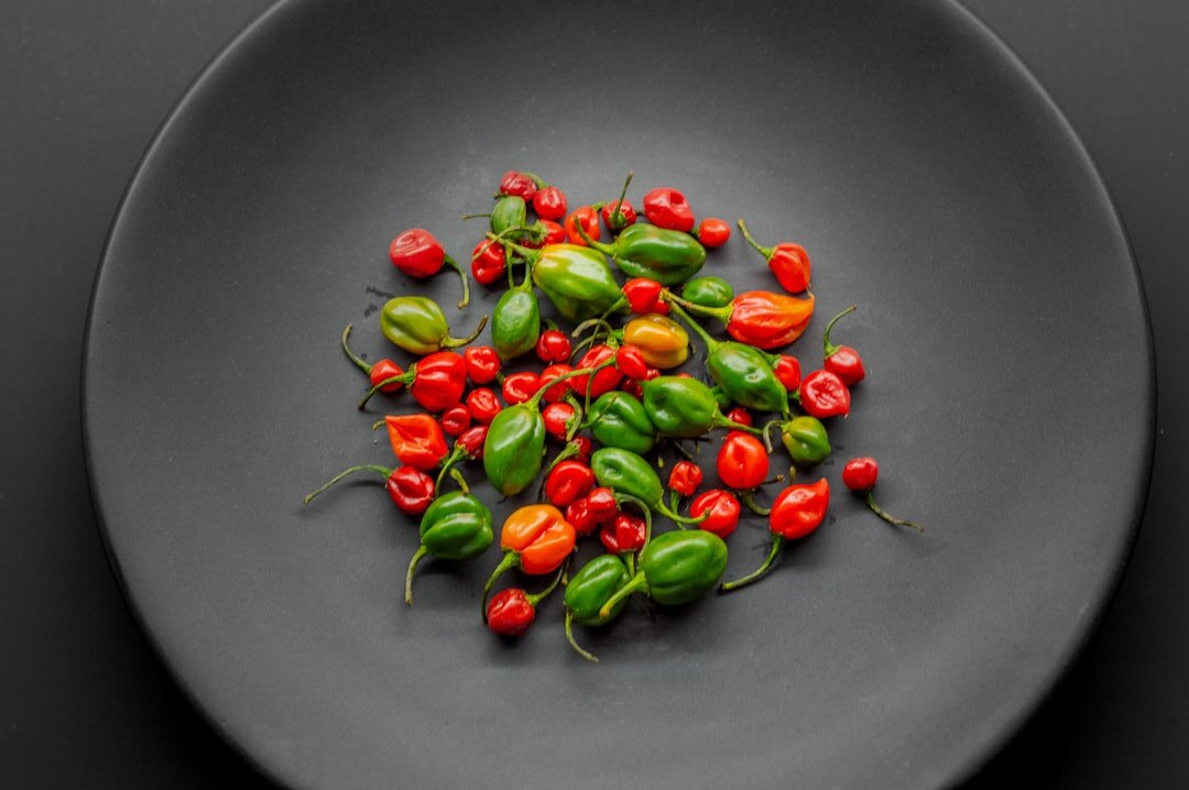 Professionally photographed dish at a Chilean restaurant